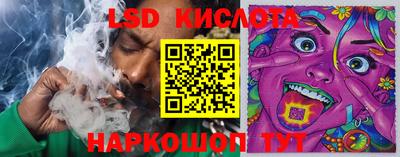 мет Кингисепп