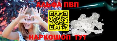 мет Кингисепп