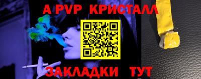 мет Кингисепп
