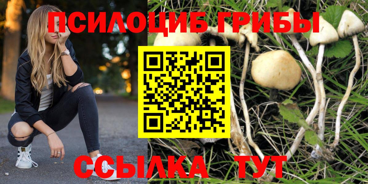 продажа наркотиков  Южноуральск  Псилоцибиновые грибы GOLDEN TEACHER 