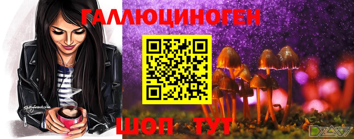 Южноуральск  Псилоцибиновые грибы Magic Shrooms  Вход с VPN 